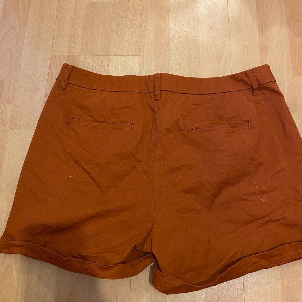 Rust Shorts - Picture 5 of 6